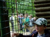 /album/vylet-6-a-b/img005-jpg/